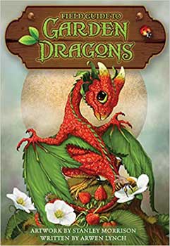 Field Guide to Garden Dragons by Morrison & Lynch