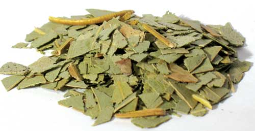 Eucalyptus cut 1oz