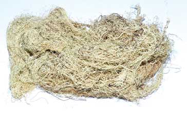 Usnea Lichen whole 1oz