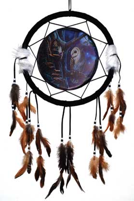 13" Owl & Fairy dream catcher