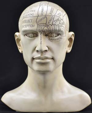 Phrenology Head